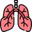 Lung & Thoracic Cancer Treatment