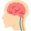 Head & Neck Cancer Treatment
